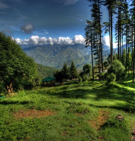 Dhanaulti Holiday Packages