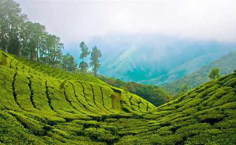 Kerala packages